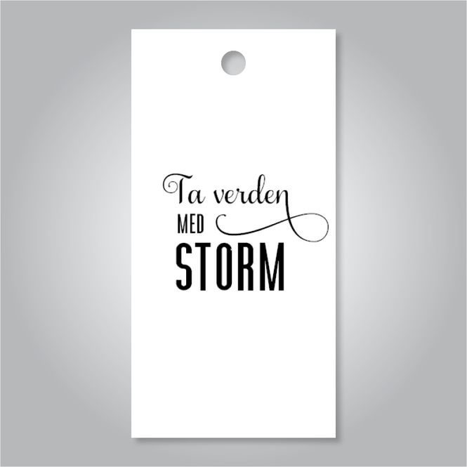 Hovedbilde Ta verden med storm