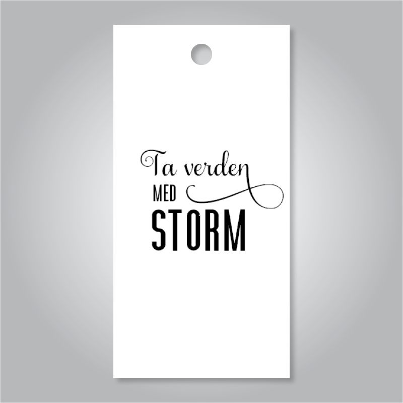 Ta verden med storm