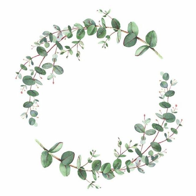 Hovedbilde Lunsjserviett: Eucalyptus Branche White